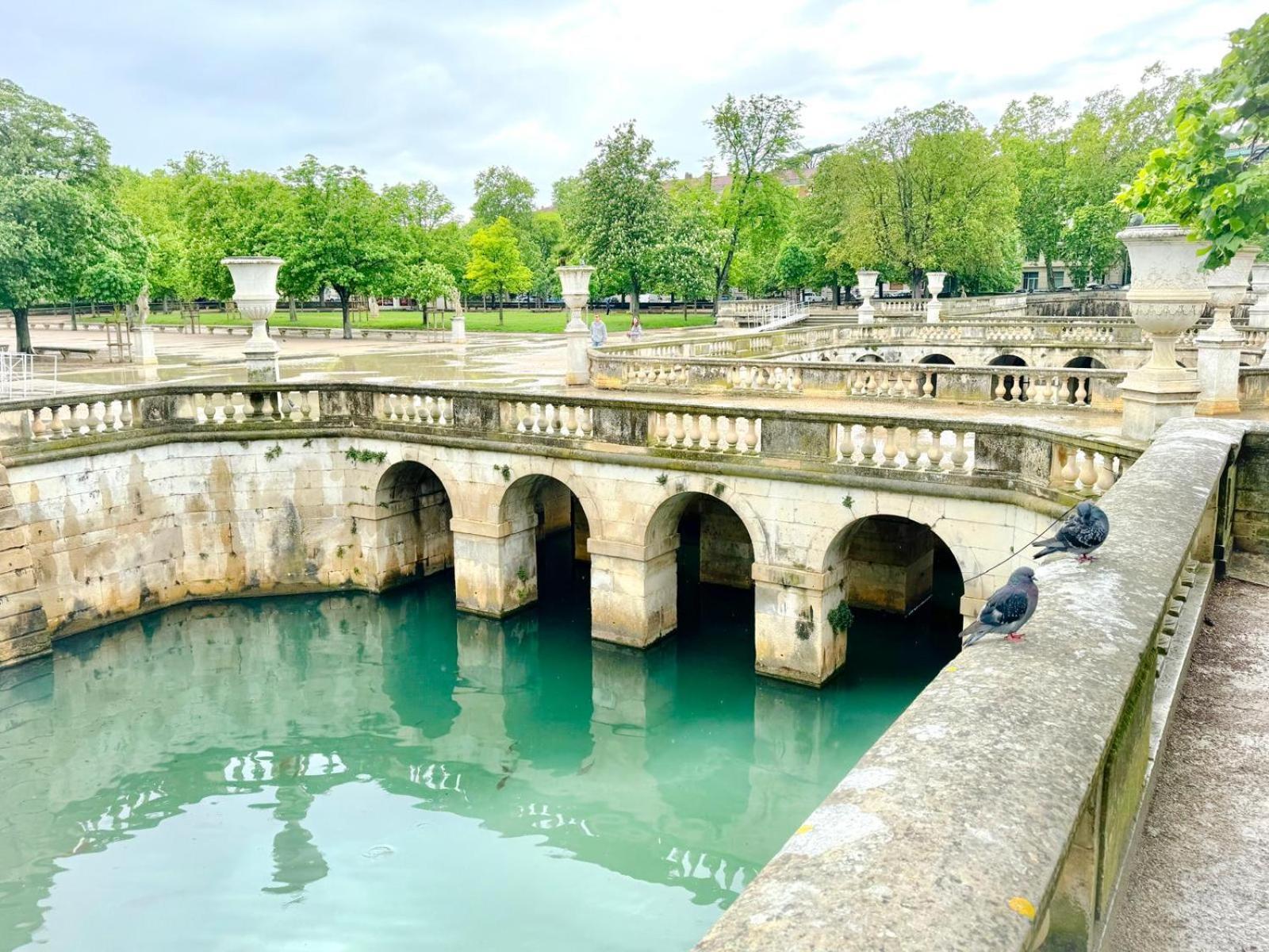 Au Coeur Du Centre Historique - Immeuble Classe - Terrasse - Climatise Nimes Exterior photo